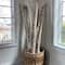 Wilson® Enterprises 3 Pack 24" Small Birch Pole